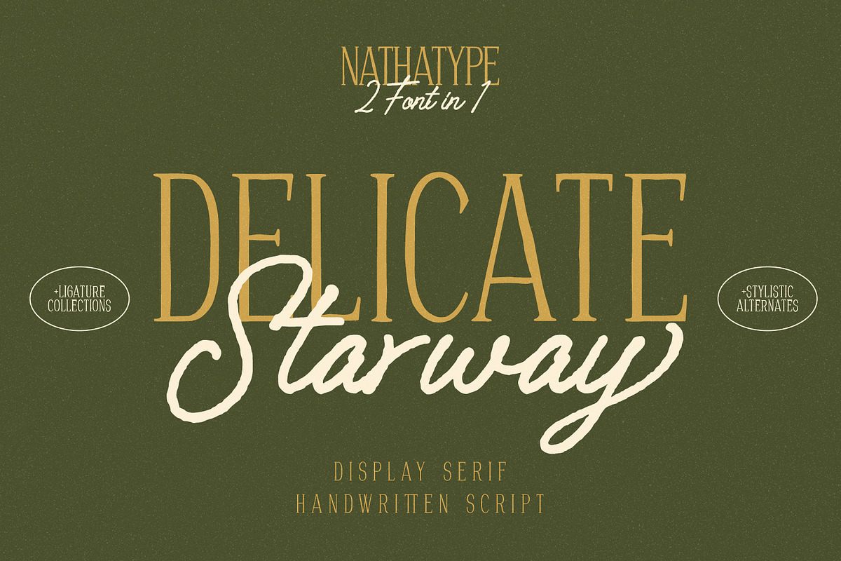 Delicate Starway, a Serif Font by Nathatype (Photo 1 of 11)