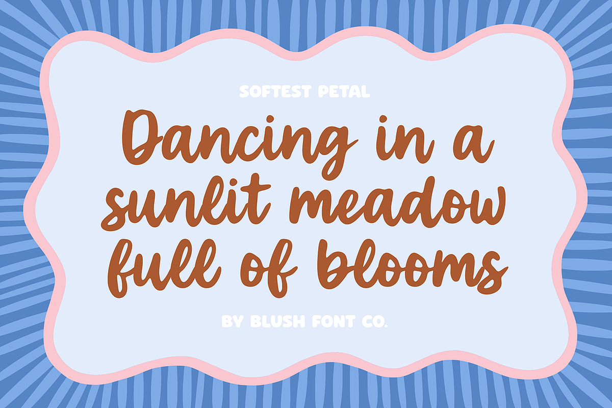 SOFTEST PETAL Vintage Brush Font, a Script Font by Blush Font Co. (Photo 3 of 6)