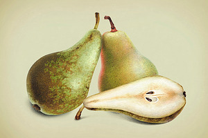 Illustrations Of Pears And Apples