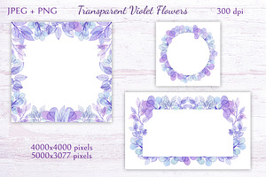 Transparent Violet Flowers