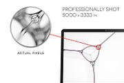 MacroBubbles - 10 unique backgrounds, a Templates & Theme by LayerLabs (Thumbnail 2 of 5)