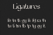 Asteria - Bold San Serif Font, a Sans Serif Font by Kami Alicja (Thumbnail 6 of 8)