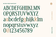 MN Triplay - Elegant Display Serif, a Serif Font by Mantra Naga (Thumbnail 5 of 15)