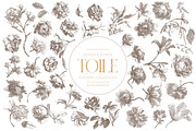 Antique Floral Toile Patterns, a Pattern Graphic by Eclectic Anthology (Thumbnail 8 of 14)