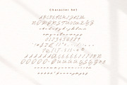 Bellagio Signature Font Duo, a Serif Font by Aqeel_Art (Thumbnail 8 of 10)
