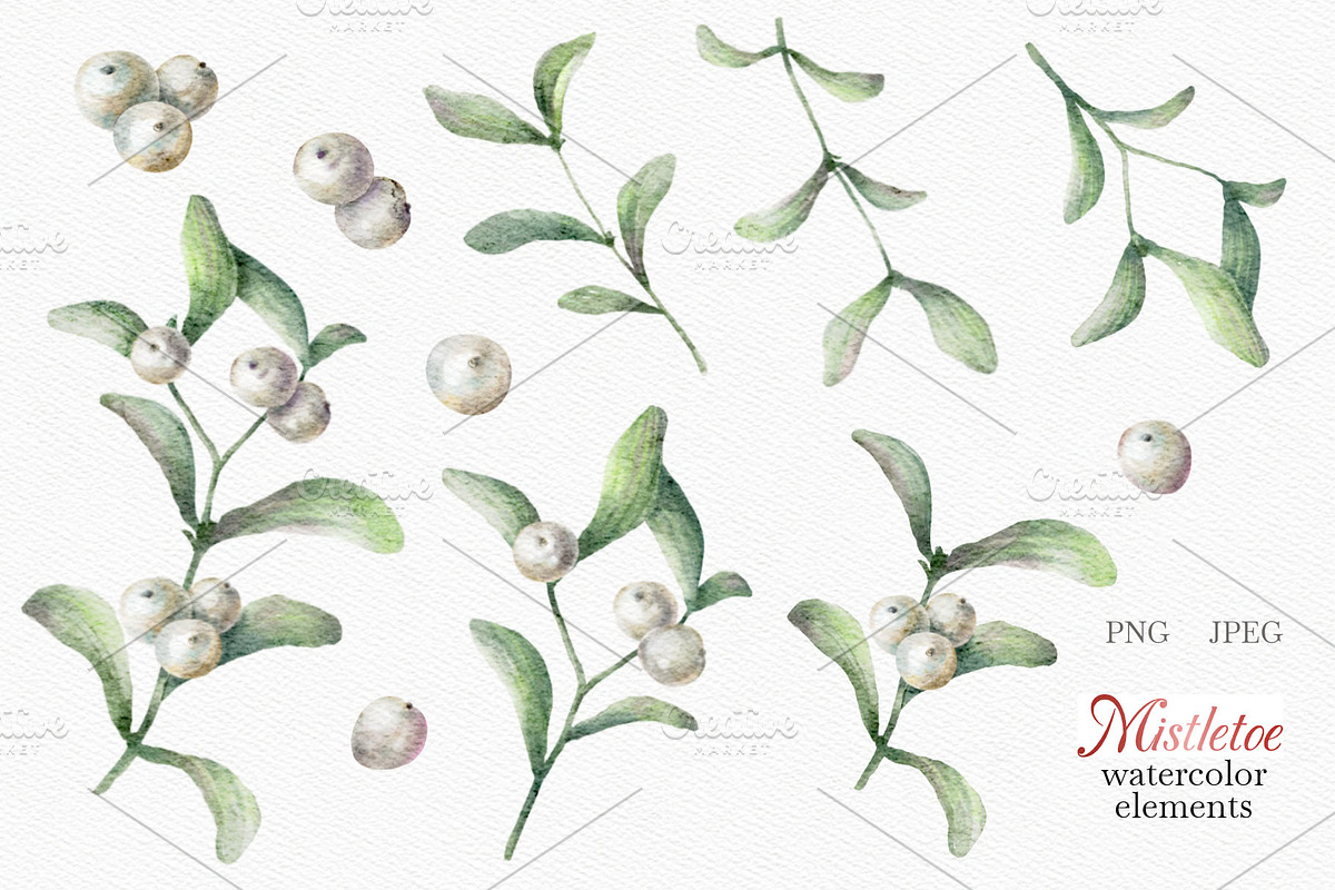 Mistletoe Watercolor Clipart., a Decorative Illustration by VetaDesign (Photo 2 of 12)