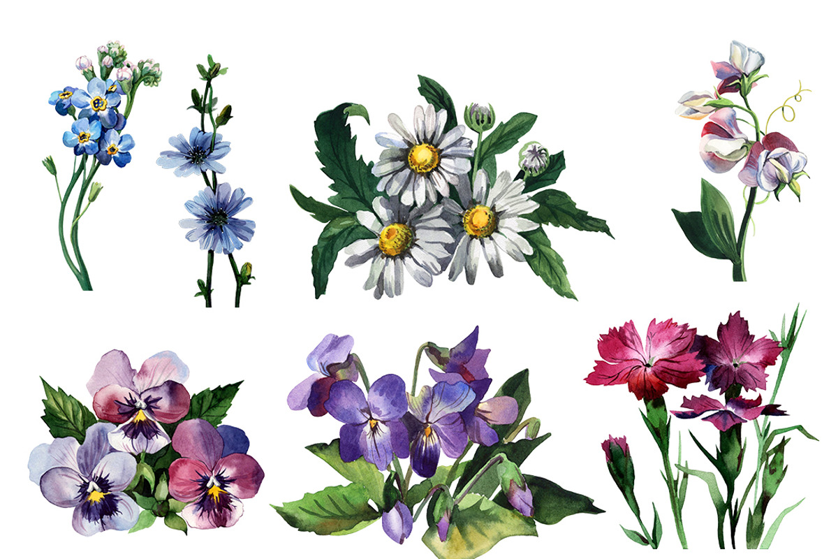 Watercolor flowers set, an Illustration by My art shop (Photo 3 of 4)