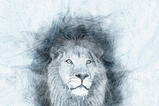 PRO SKETCH Photoshop Actions, an Action Add-On by MRI STUDIO (Thumbnail 17 of 19)
