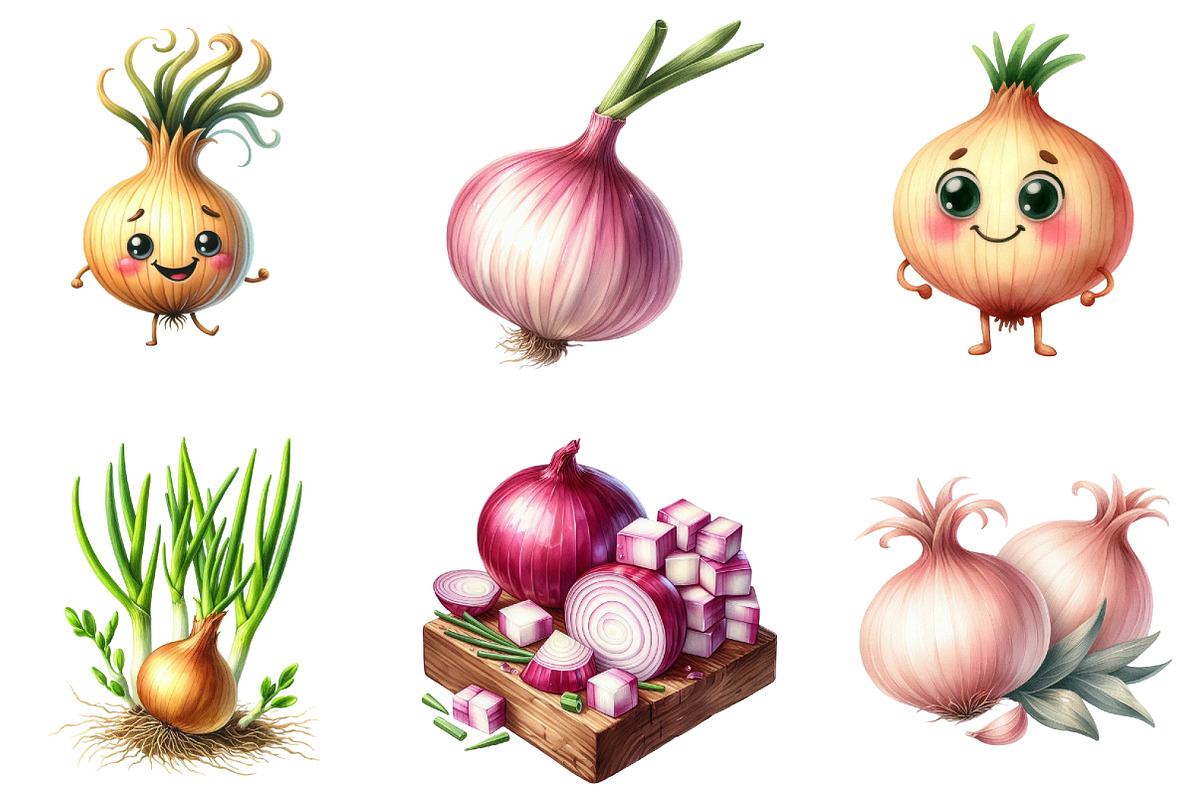 Watercolor Onion Clipart, an Illustration by DreamArtGraphic (Photo 4 of 5)