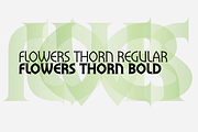 Flowers, a Serif Font by BluHead Studio (Thumbnail 7 of 8)