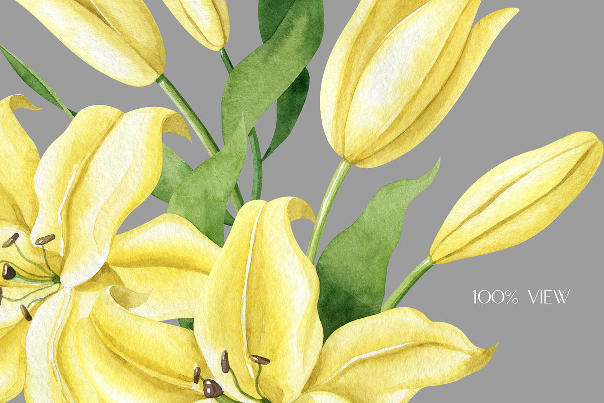 Yellow Lilies Watercolor Set, a Texture Illustration by Natalia Fedorova (Photo 9 of 10)