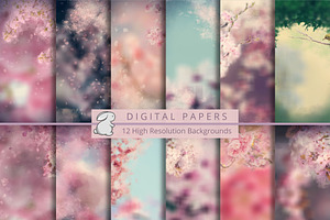 Portrait Backdrops
