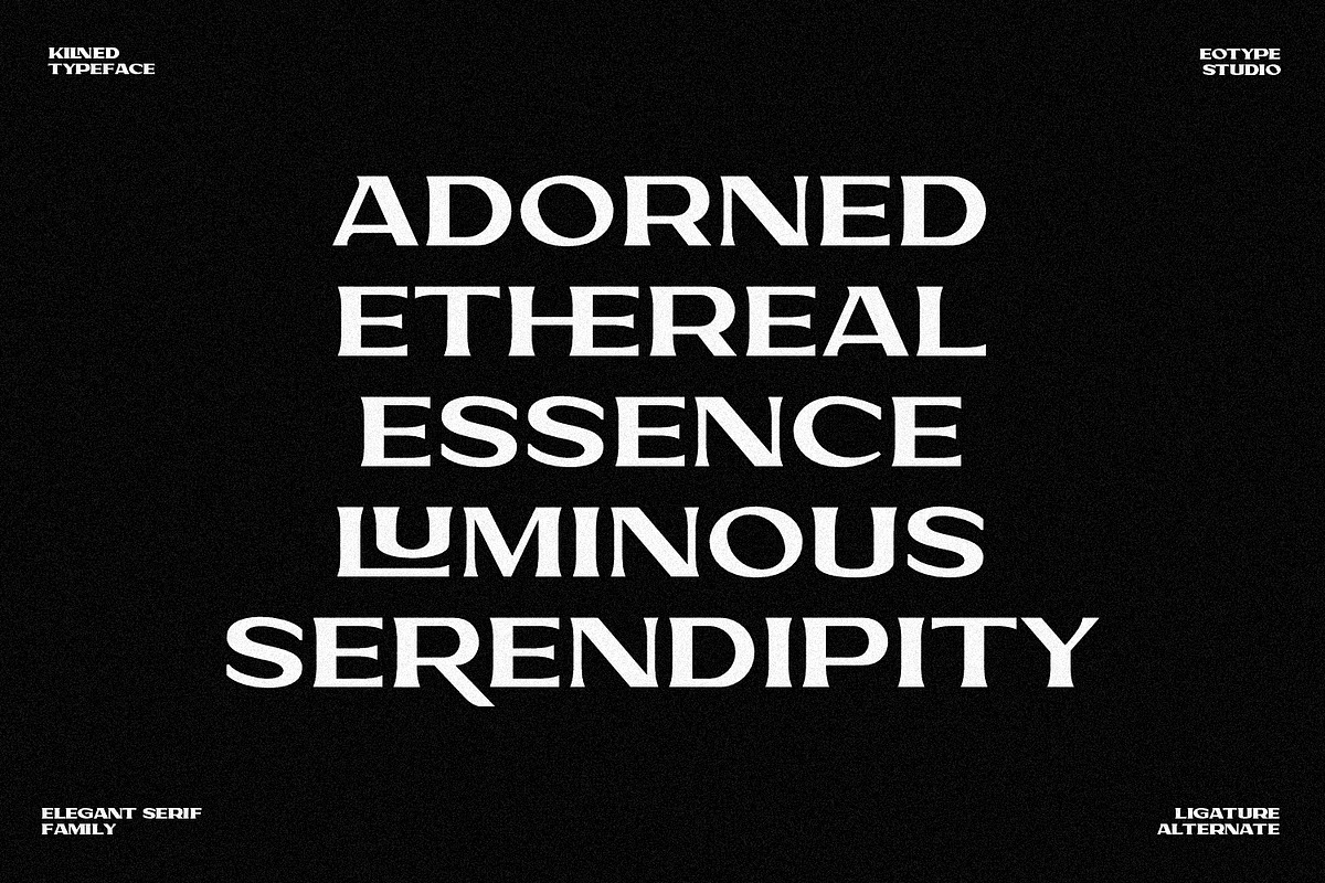 Kilned - Extended serif family, a Font by Eotype Studio (Photo 2 of 11)