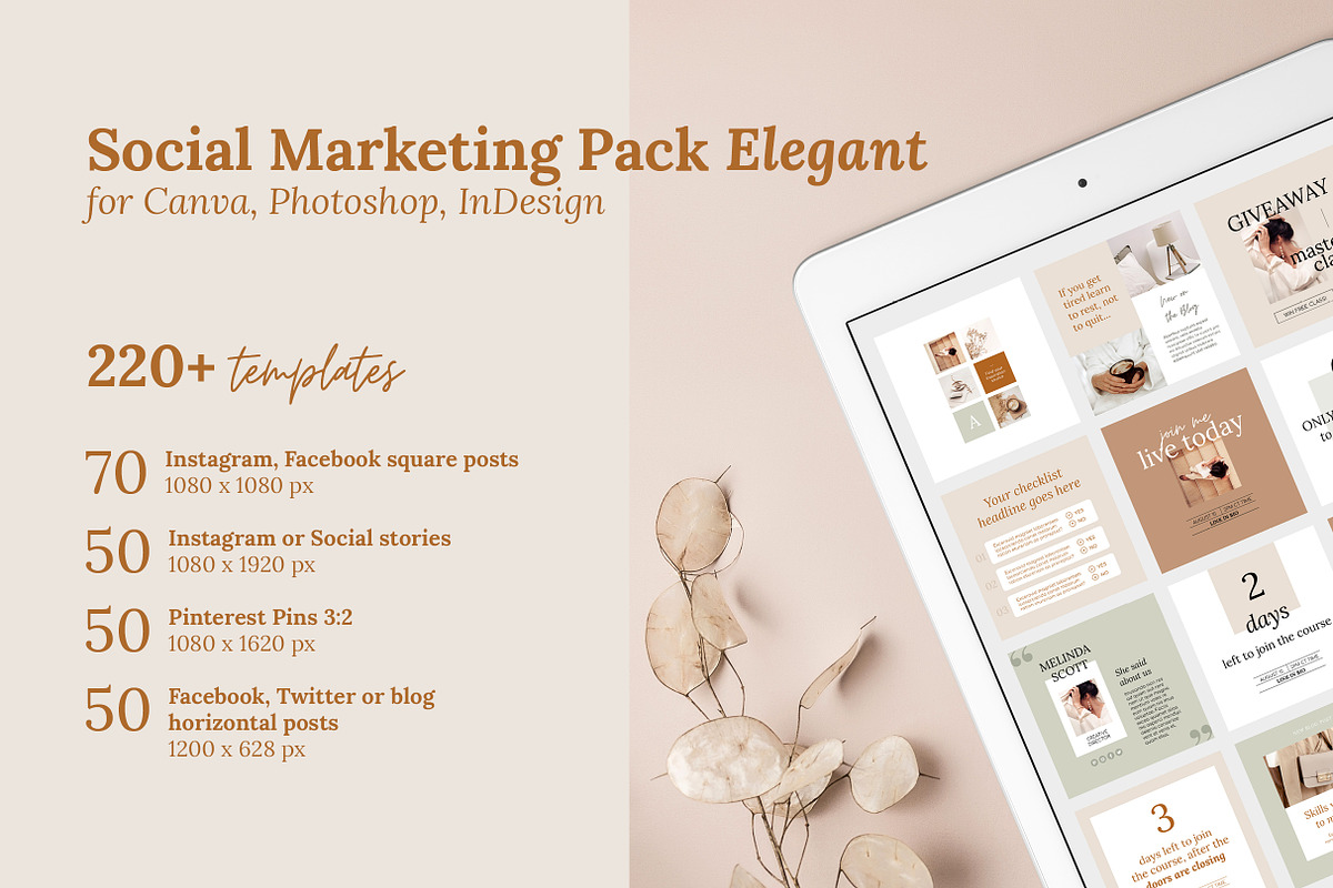 4 in 1 Course Creator Super Bundle E, a Magazine Template by Mirazz (Photo 39 of 48)