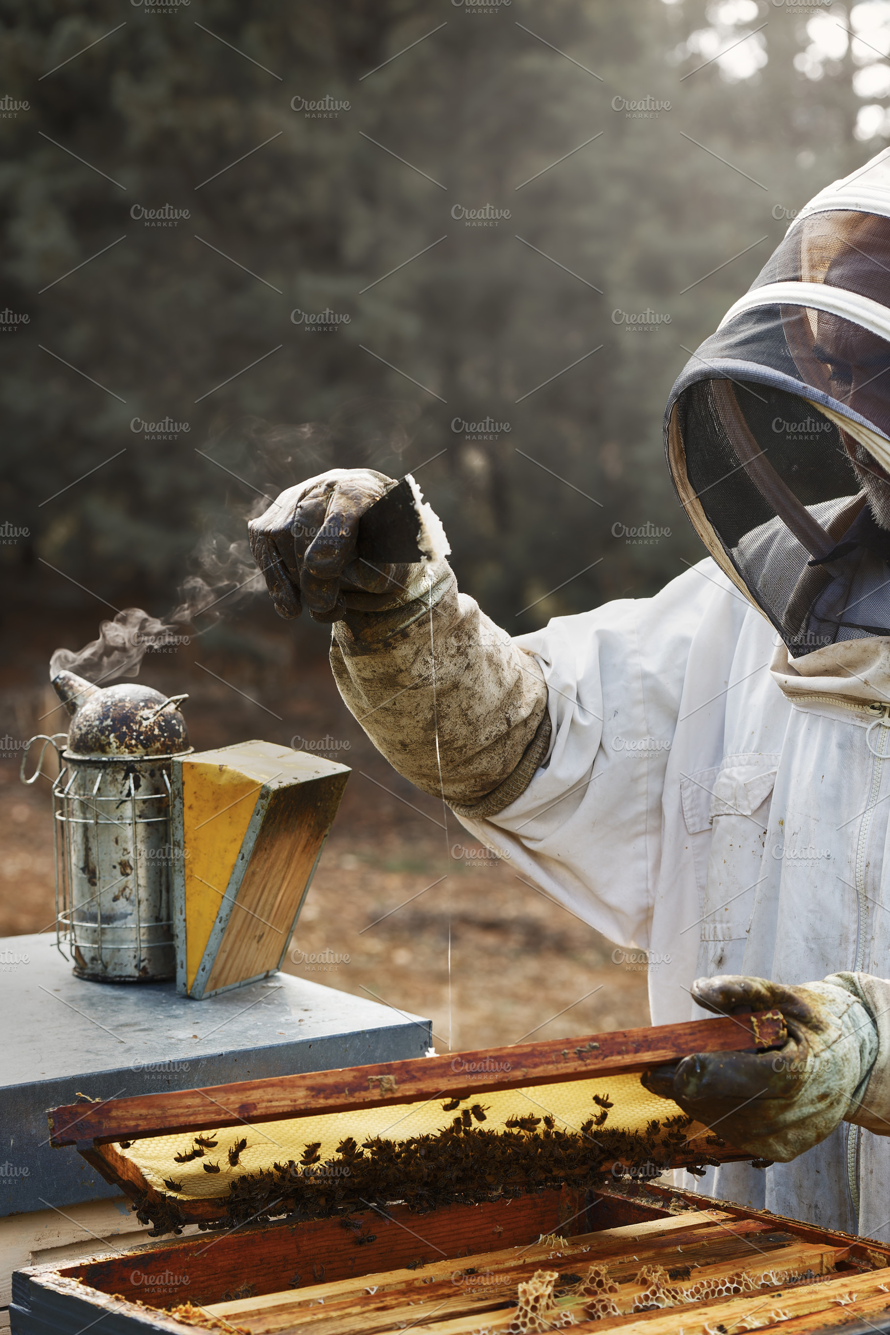 Beekeeper extracting wax and honey f, a Person Photo by Perpis