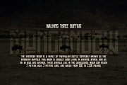 Mongondow Display Typeface Font, a Sans Serif Font by Storytype Studio (Thumbnail 4 of 15)