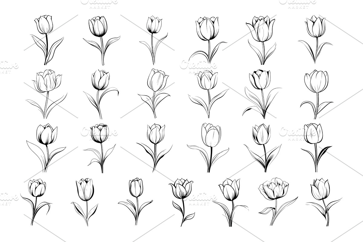 50 Tulips Procreate Stamps Brushes, a Brush Add-On by Procreate Sale (Photo 4 of 6)