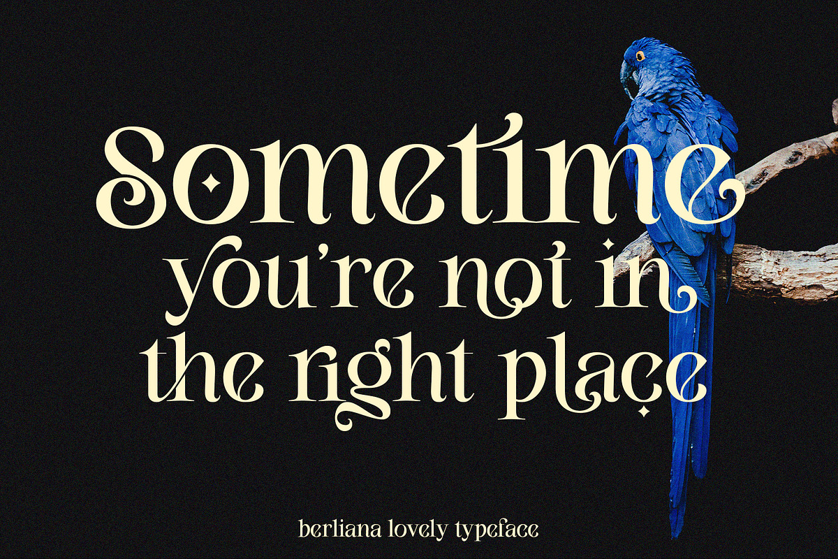 Berliana Lovely, a Serif Font by INKSUN™ (Photo 12 of 13)