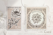 rose | botanical illustrations, an Illustration by Sophia J Caldwell (Thumbnail 14 of 23)
