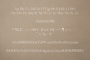 Salve - Elegant Serif + Cyrillic, a Serif Font by VP Fonts (Thumbnail 14 of 20)