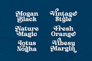 Husty Birds Modern Retro Serif, a Serif Font by timelesstype.co (Thumbnail 17 of 20)