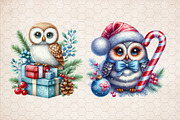 Christmas Owl Sublimation Clipart, an Illustration by SinaCreation (Thumbnail 4 of 5)