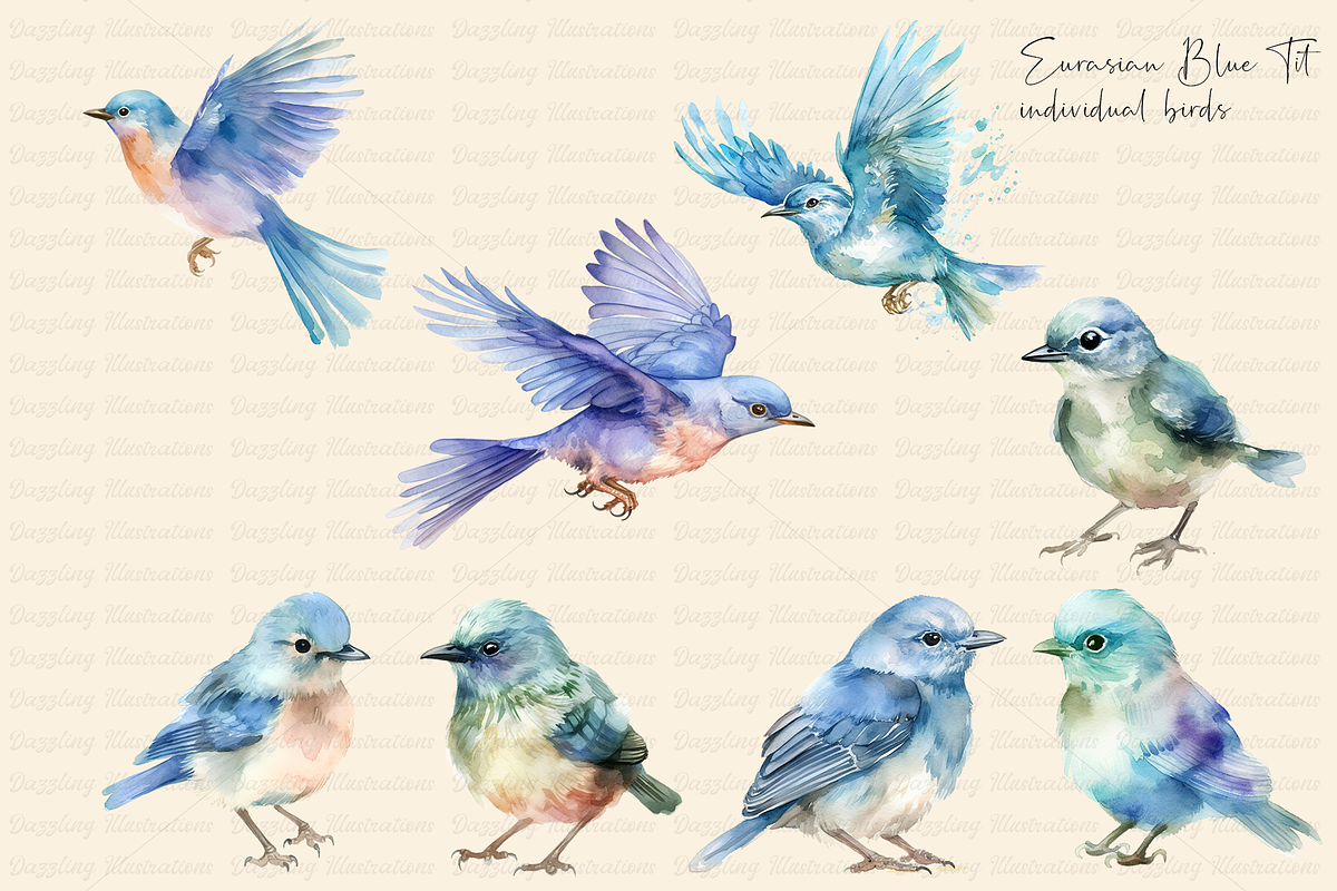 Watercolor Blue Tit Bird Nature Set, an Animal Illustration by Dazzling Art Boutique (Photo 2 of 10)
