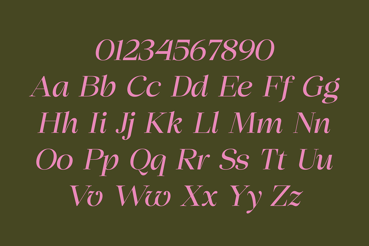 Chilton - Family Serif, a Serif Font by Marvadesign (Photo 9 of 12)