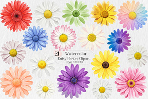 Daisy Flower Watercolor Clipart, an Illustration by Creative Art