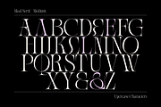 Meal - Serif Display Family, a Serif Font by Holyline Design (Thumbnail 12 of 15)