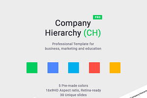 Company Hierarchy PowerPoint