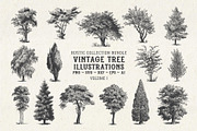 Vintage Tree Vector Bundle Vol. 1, an Object Illustration by Seaquint (Thumbnail 1 of 5)
