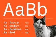 Blumer Modern Branding Sans Serif, a Sans Serif Font by Foxtype (Thumbnail 8 of 9)