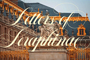 Roselvine Greetings Romantic Script, a Script Font by Letterhend Studio (Thumbnail 3 of 10)