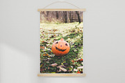Rustic Pumpkin Garden, a Holiday Photo by pictures for you (Thumbnail 5 of 11)