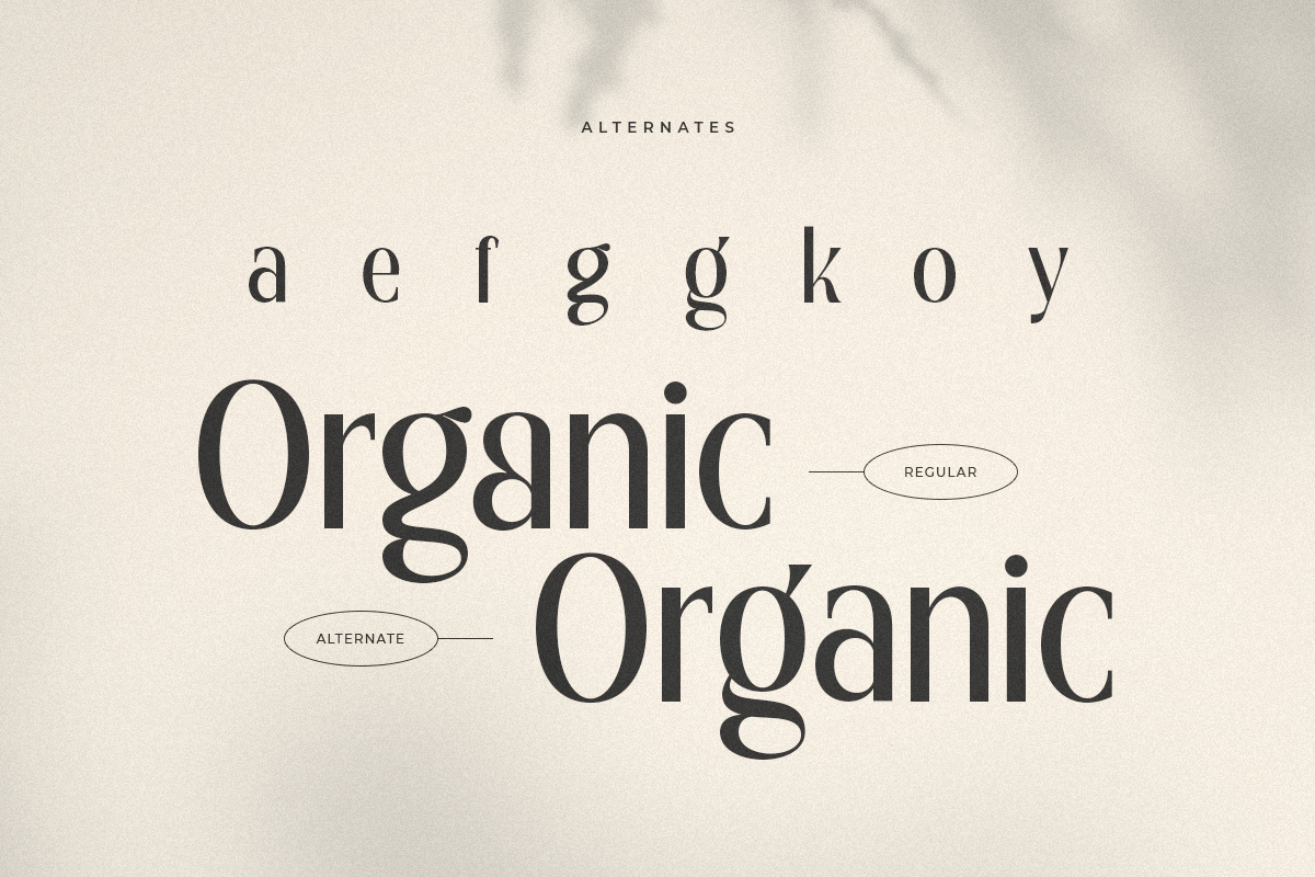 Royal - Modern Unique Display Font, a Serif Font by Sensatype (Photo 4 of 15)