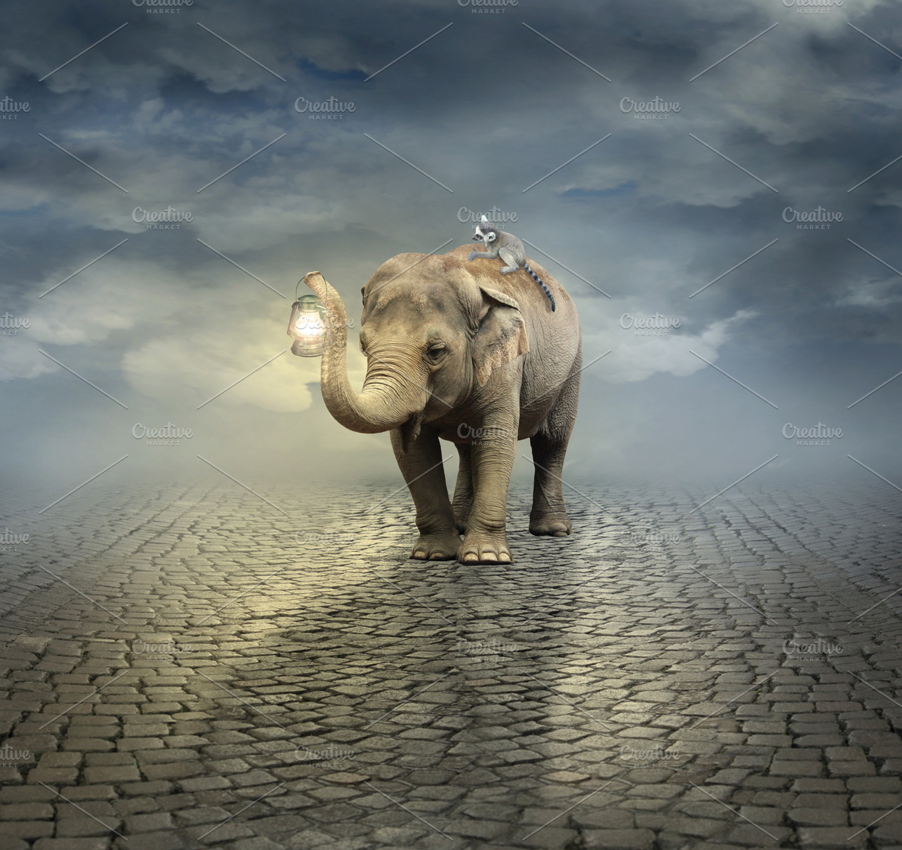 On The Road Featuring Elephant Lantern And Lemur