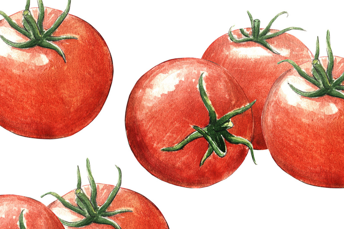 Tomato watercolor set, a Food Illustration by wedraw (Photo 2 of 4)