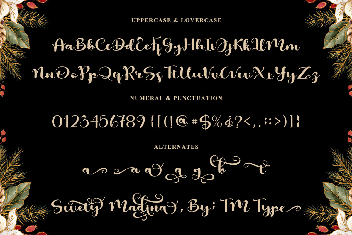 Swety Madina, a Handwritten Font by TM Type (Photo 7 of 8)