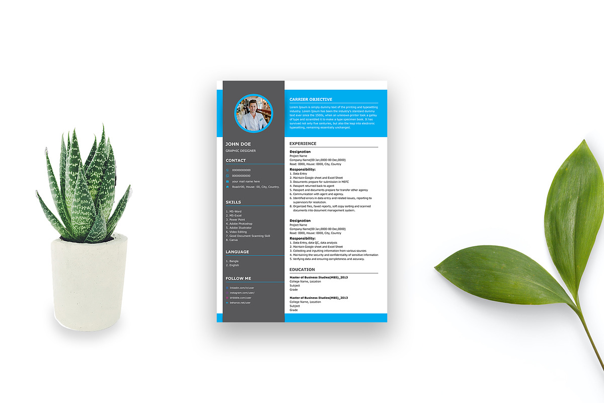 Modern Resume Template / Words, AI, a Resume Template by Annudesign (Photo 4 of 6)