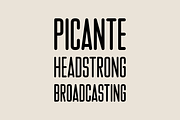 Sonico – Font Family, a Sans Serif Font by Stefano Giliberti (Thumbnail 3 of 10)