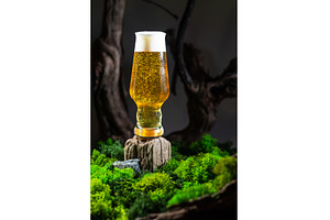 Glass of light beer on a stump, a Food & Drink Photo by Stockphoto by vzwer