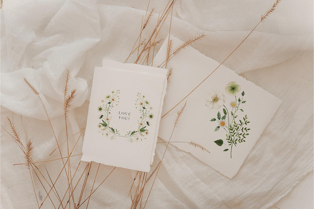White Fields wildflowers flora, an Education Illustration by LiChu Art (Photo 4 of 12)