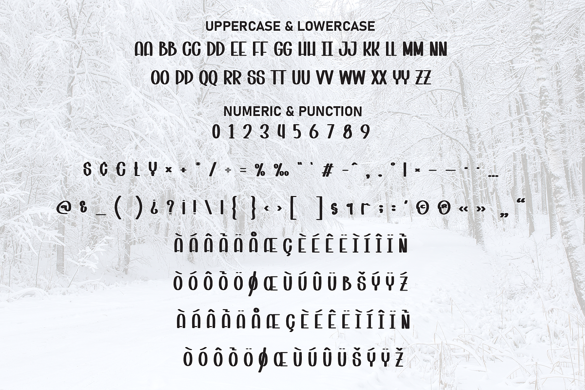 Snow Winter | Script Font, a Script Font by Scratchones (Photo 7 of 8)