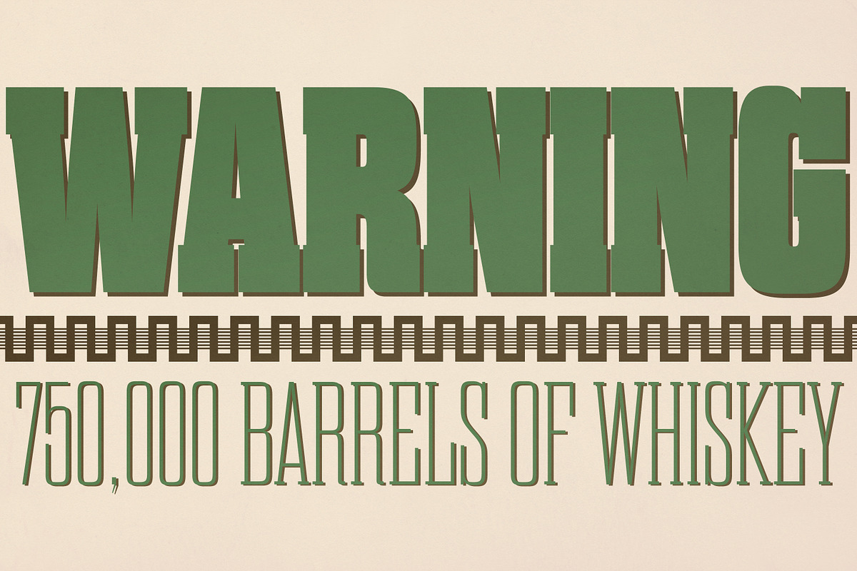 Dharma Slab, a Slab Serif Font by Dharma Type (Photo 10 of 10)