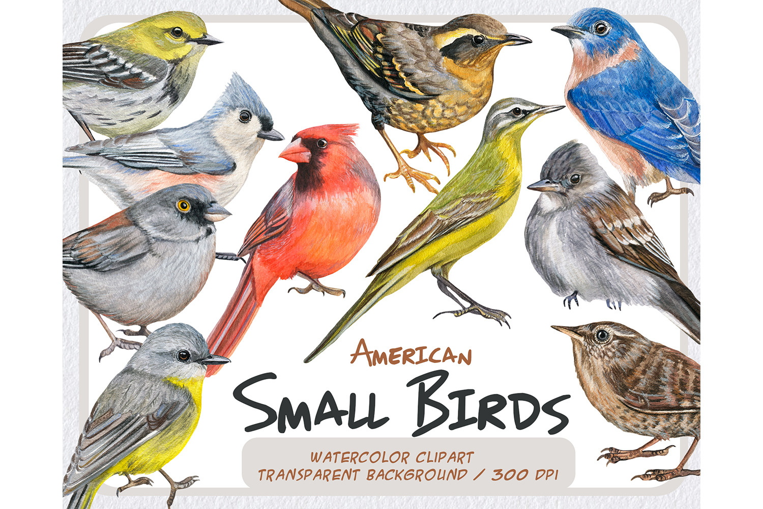 Watercolor small birds clipart, an Illustration by ArtfulStudio