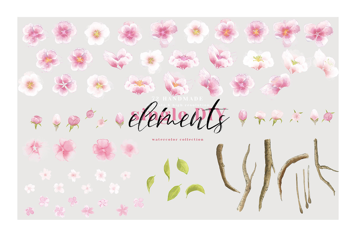 Sakura | Cherry Blossom Florals, an Illustration by January Bloom (Photo 11 of 11)