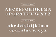 Dibali - Modern Typface Serif, a Serif Font by AnnofaType (Thumbnail 6 of 8)