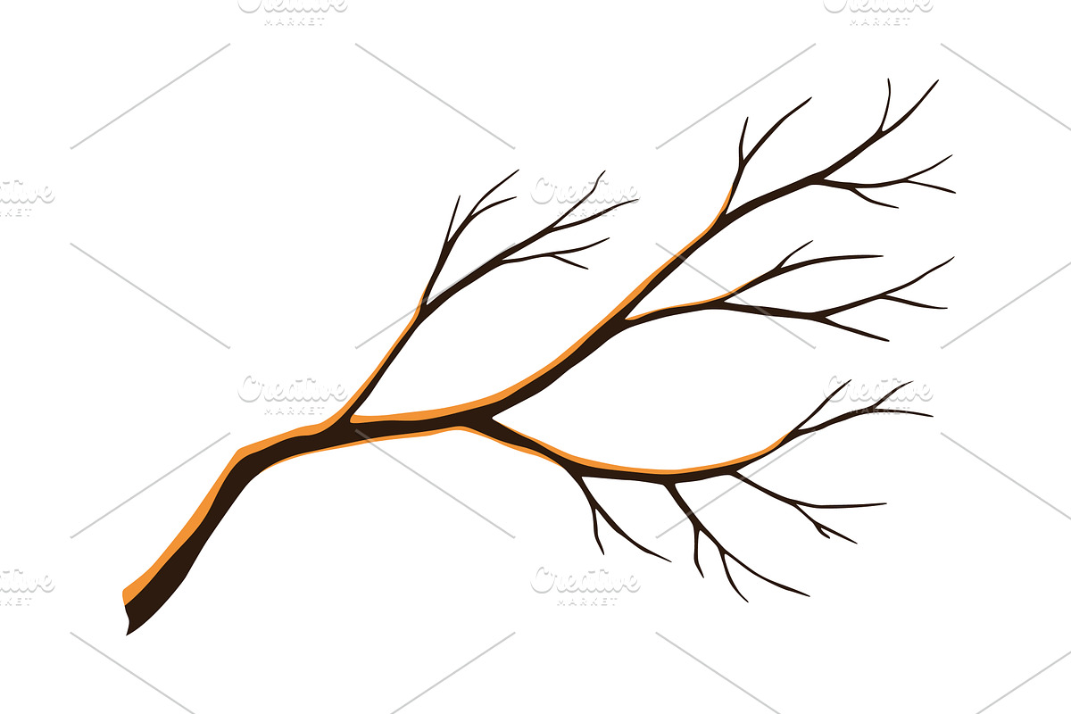 Watercolor hand drawn tree, an Object Illustration by Things for designers