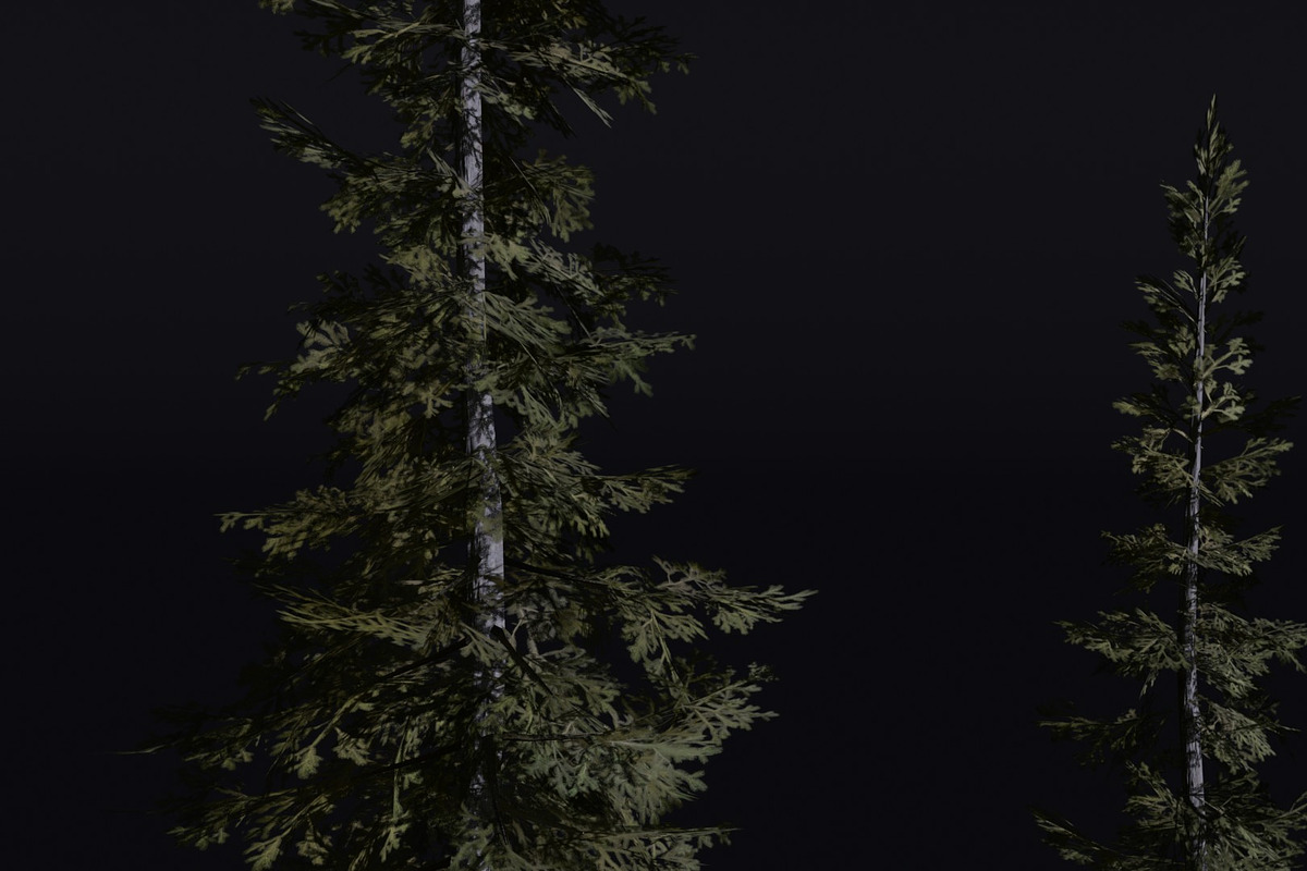 The Sabalpine Fir Tree, a Plants & Tree 3D Model by FuturePastCreatives (Photo 2 of 6)